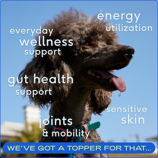 Foto 2 | Foto 2 | Suplemento Multivitamínico 11 En 1 De Native Pet The Daily Dog - Venta Internacional.