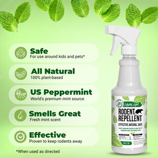 Foto 3 | Foto 3 | Spray Repelente De Roedores Mighty Mint Aceite De Menta 500 Ml - Venta Internacional.