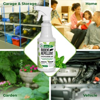 Foto 6 | Foto 6 | Spray Repelente De Roedores Mighty Mint Aceite De Menta 500 Ml - Venta Internacional.