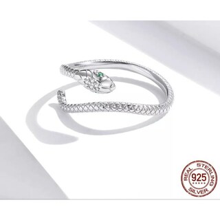 Foto 2 | Foto 2 | Anillo De Plata 925 Con Forma De Serpiente Serpentina  Ajustable  Chapado En Rodio - Venta Internacional.