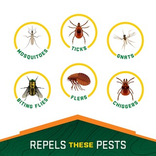 Foto 2 | Foto 2 | Repelente De Insectos Repel 100 En Aerosol 120 Ml 10 Horas De Protección - Venta Internacional.
