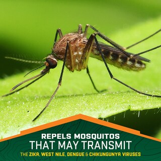 Foto 7 | Foto 7 | Repelente De Insectos Repel 100 En Aerosol 120 Ml 10 Horas De Protección - Venta Internacional.