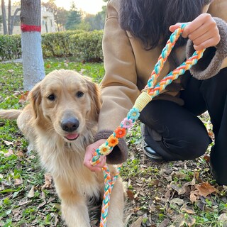 Foto 3 | Foto 3 | Correa Para Perro Panda Jianghu Algodón Trenzado 1 5 M Duradera Arcoíris - Venta Internacional.