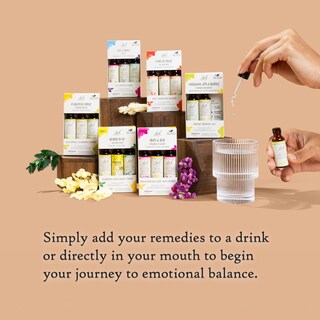 Foto 4 | Foto 4 | Kit Bach Clarity Of Mind De Flower Remedies 3 Goteros De 10 Ml - Venta Internacional.