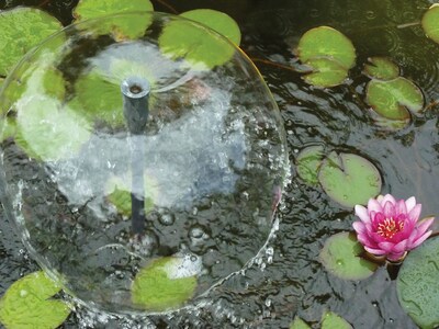 Foto 4 | Foto 4 | Kit De Filtro Y Bomba Para Estanques Danner Manufacturing Pondmaster Pmk 190 - Venta Internacional.