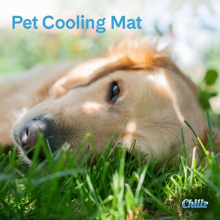 Foto 3 | Foto 3 | Alfombrilla De Gel Cooling Pad The Green Pet Shop Chillz Para Mascotas - Venta Internacional.
