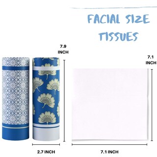 Foto 2 | Foto 2 | Soporte Para Pañuelos De Coche Winoo Design Con Pañuelos Faciales Paquete De 4 Unidades Azul - Venta Internacional.