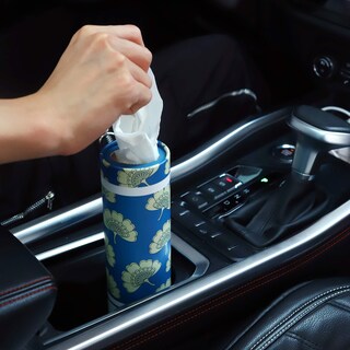 Foto 3 | Foto 3 | Soporte Para Pañuelos De Coche Winoo Design Con Pañuelos Faciales Paquete De 4 Unidades Azul - Venta Internacional.