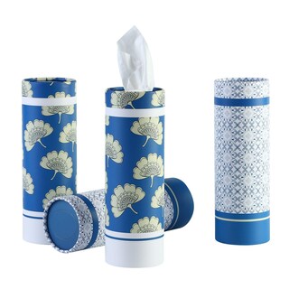 Foto 6 | Foto 6 | Soporte Para Pañuelos De Coche Winoo Design Con Pañuelos Faciales Paquete De 4 Unidades Azul - Venta Internacional.