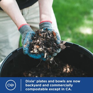 Foto 5 | Foto 5 | Paper Bowls Dixie 300 Ml 36 Unidades (paquete De 8) Aptos Para Microondas - Venta Internacional.