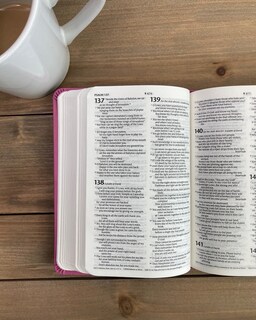 Foto 7 | Foto 7 | Filamento Compacto Bible Tyndale Nlt Premium Value Piel Rosa - Venta Internacional.