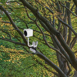 Foto 6 | Foto 6 | Soporte De Cámara Okemeeo Para Wyze Cam Og/v3/v3 Pro/pan V3/pan V2 - Venta Internacional.