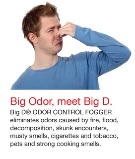 Foto 3 | Foto 3 | Fragancia Odor Fogger Big D 345 Sunburst 150 Ml 12 Unidades - Venta Internacional.