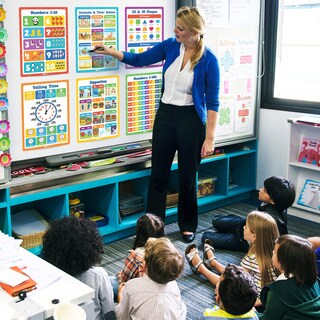 Foto 5 | Foto 5 | Set De Pósteres Educativos Momo & Nashi De 40 X 28 Cm 20 Unidades Para Aula - Venta Internacional.