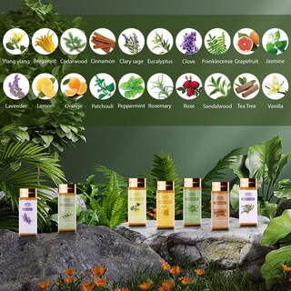 Foto 2 | Foto 2 | Set De Aceites Esenciales Blissfulblend Paquete De 20 Unidades Para Difusor 20 Ml - Venta Internacional.