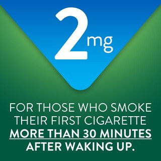 Foto 3 | Foto 3 | Pastilla De Nicotina Polacrilex Goodsense Mini 2 Mg Menta 216 Unidades - Venta Internacional.