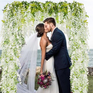 Foto 3 | Foto 3 | Flores Artificiales Zinho Wisteria Para Colgar  60 Ramas  Color Blanco - Venta Internacional.