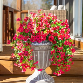 Foto 5 | Foto 5 | Flores Artificiales Inspring Faux Outdoor Hot Pink Daisy X2 - Venta Internacional.