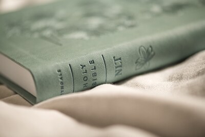 Foto 6 | Foto 6 | Filamento Fino Tipo Piel Bible Tyndale Nlt Premium Value - Venta Internacional.