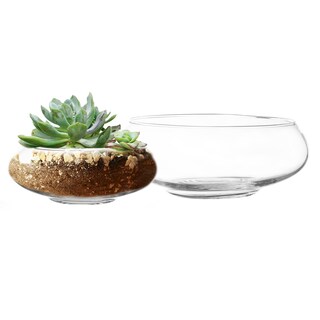 Foto 1 | Foto 1 | Set De Jarrones De Cristal Royal Imports Redondos Decorativos Transparentes (2) - Venta Internacional.