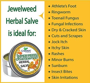 Foto 3 | Foto 3 | Crema Para Tatuajes Salve Creation Farm Jewelweed Con Árbol De Té  120 Ml - Venta Internacional.