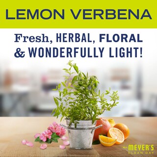 Foto 2 | Foto 2 | Jabón Líquido Para Platos Mrs. Meyer's Clean Day Lemon Verbena 480 Ml Paquete De 3 - Venta Internacional.