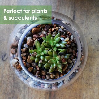 Foto 3 | Foto 3 | Jarrones De Cristal Con Burbujas Para Manualidades Y Fiestas 8 X 10 Cm Juego De 4 - Venta Internacional.