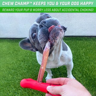 Foto 5 | Foto 5 | Soporte Bully Stick Gosports Chew Champ Para Perros De 15 Cm O 20 Cm - Venta Internacional.