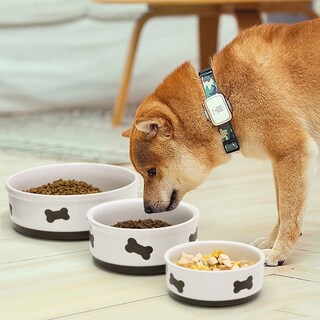 Foto 3 | Foto 3 | Plato De Comida Para Perros De Cerámica Sweejar Bone Pattern 480 Ml (blanco) - Venta Internacional.
