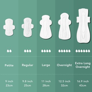 Foto 5 | Foto 5 | Funda De Algodón Orgánico Period Pads Rael Heavy Absorb 24 Unidades - Venta Internacional.
