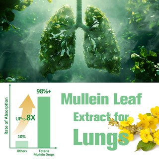 Foto 5 | Foto 5 | Mullein Drops Totaria 120 Ml Para La Desintoxicación Pulmonar Y El Bienestar Respiratorio - Venta Internacional.