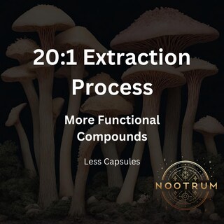 Foto 3 | Foto 3 | Suplemento De Hongos Nootrum Cápsulas De Suministro Para 1 Mes - Venta Internacional.