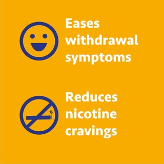 Foto 5 | Foto 5 | Nicotine Gum Wellness Basics 2 Mg Sabor A Fruta 160 Unidades - Venta Internacional.