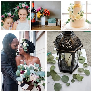 Foto 5 | Foto 5 | Hojas Secas De Eucalipto Auténticas  Más De 300 Unidades  Para Decoración De Bodas - Venta Internacional.