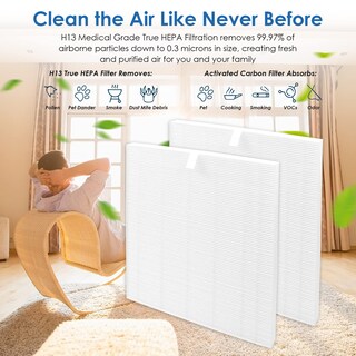 Foto 4 | Foto 4 | Filtro De Repuesto Flintar C545 Para Purificador De Aire Winix C545 - Venta Internacional.