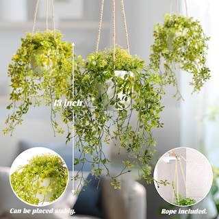Foto 4 | Foto 4 | Plantas Colgantes Artificiales Pengyee  3 Paquetes Con Macetas  13 Enredaderas - Venta Internacional.