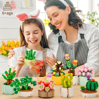 Foto 2 | Foto 2 | Set De Construcción Sathibi Con 12 Flores Suculentas Para Adultos 1185 Unidades - Venta Internacional.