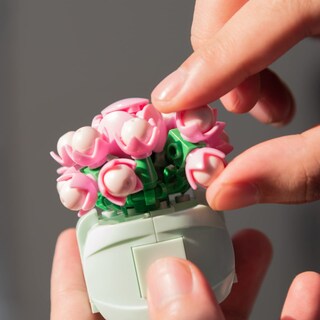 Foto 3 | Foto 3 | Set De Construcción Sathibi Con 12 Flores Suculentas Para Adultos 1185 Unidades - Venta Internacional.