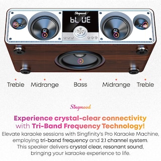 Foto 5 | Foto 5 | Máquina De Karaoke Singmood Con Barra De Sonido Con Subwoofer De 2 Micrófonos Uhf - Venta Internacional.