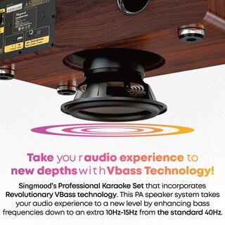 Foto 6 | Foto 6 | Máquina De Karaoke Singmood Con Barra De Sonido Con Subwoofer De 2 Micrófonos Uhf - Venta Internacional.