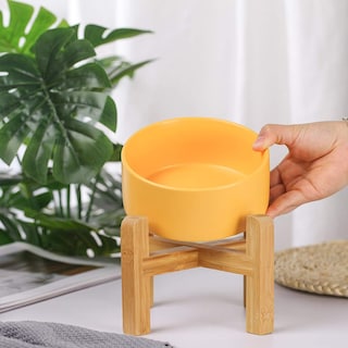 Foto 4 | Foto 4 | Cuenco Elevado De Cerámica Para Gatos Lionwei Lionweli Amarillo Con Soporte De Madera - Venta Internacional.