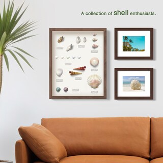 Foto 6 | Foto 6 | Marco Shadow Box Frameworks De Madera Negra Con Cristal 21 6 X 27 9 Cm - Venta Internacional.