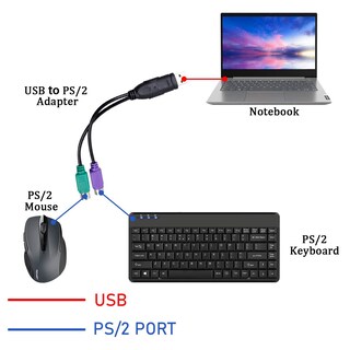 Foto 5 | Foto 5 | Convertidor De Adaptador Ps/2 A Usb Para Teclado Y Ratón Ps2 Ucec - Venta Internacional.