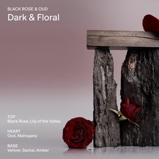 Foto 3 | Foto 3 | Vela Perfumada Salt & Stone Black Rose & Vetiver 250 Ml - Venta Internacional.