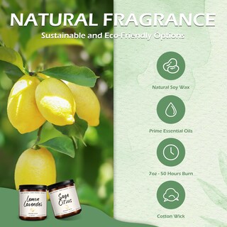 Foto 3 | Foto 3 | Set De Velas Aromáticas Auelife Paquete De 4 Velas De Soja Menta Y Eucalipto - Venta Internacional.