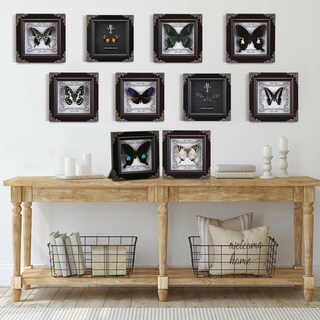 Foto 6 | Foto 6 | Taxidermia Con Mariposas Reales Enmarcadas  Wtuawb  Reina Con Bandas Verdes - Venta Internacional.