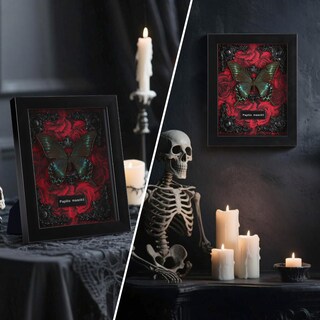 Foto 4 | Foto 4 | Taxidermia De Mariposas Enmarcada Wtuawb Alpine Black Swallowtail - Venta Internacional.