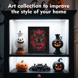 Foto 5 | Foto 5 | Taxidermia De Mariposas Enmarcada Wtuawb Alpine Black Swallowtail - Venta Internacional.