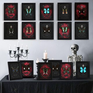 Foto 6 | Foto 6 | Taxidermia De Mariposas Enmarcada Wtuawb Alpine Black Swallowtail - Venta Internacional.