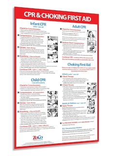 Foto 1 | Foto 1 | Imán De Seguridad Para Póster Zoco Cpr And Choking  30 X 45 Cm  Laminado - Venta Internacional.